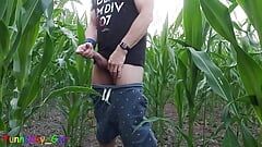 Fun dans le champ de maïs, branlette avec un préservatif
