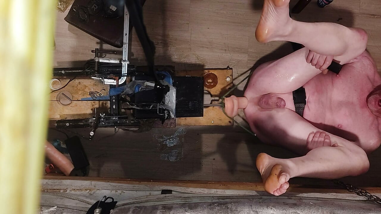 Lost bet with AI wife
