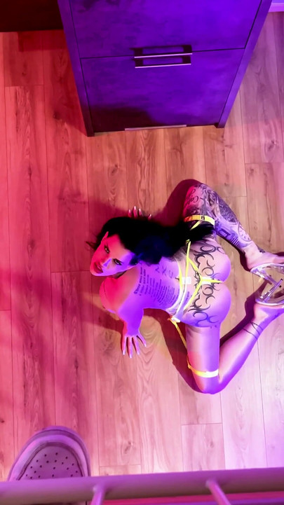 मिस Alessa milano को देख रहे वीआईपी लोग