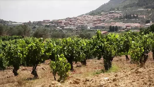 Alcadesa A Mayoral Affair deutsch - Episode 1