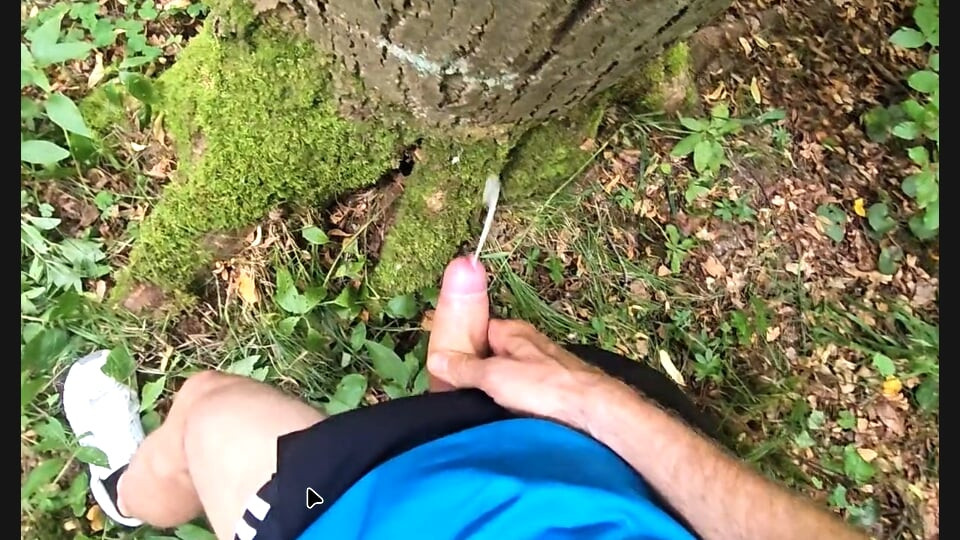 在樹林裡快速打手槍射在樹幹上
