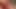 セクシーな大きなおっぱいの猫三人組