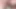 Yakın çekimde özensiz sünneti yalıyor ve emiyor! Ateşli yarakla asmr yaparken fazla spermleri yalıyor! 4K