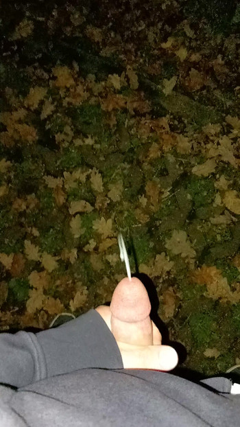 Slina tijekom krstarenja