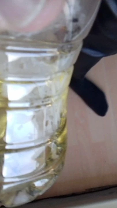 Piss in the bottle