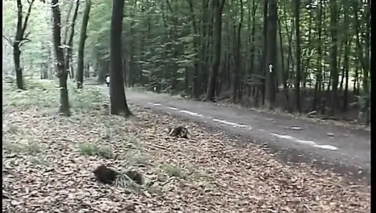 Redhead chick plays with her pussy outdoors