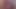 Michelle Michaels, Brinke Stevens, Debra De Liso etc - 'SPM