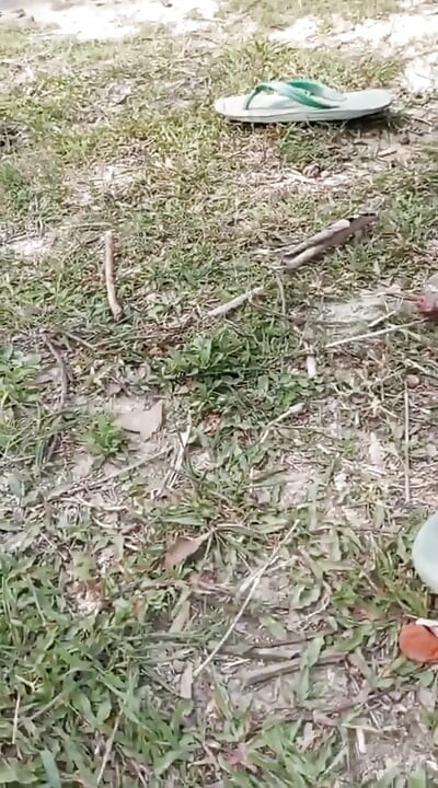 Jangal Me Chut Ka Maggal