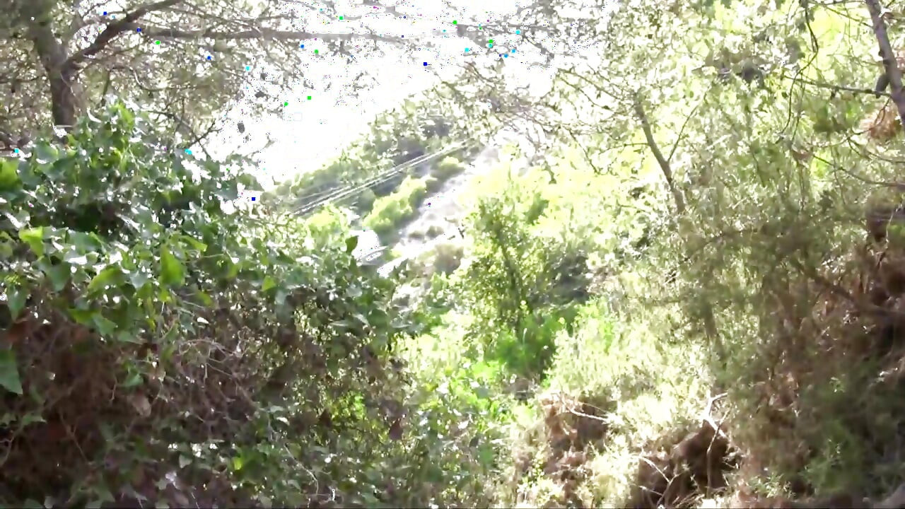 Stunning naked blonde wildly ass fucked in the woods