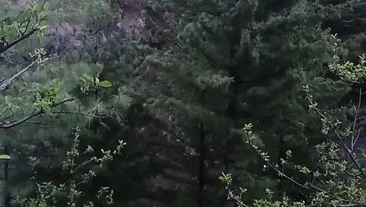 Part 2 - Desi outdoor sex with a stranger girl in the jungle.