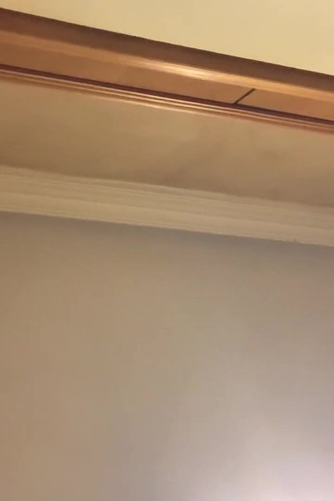 Suck My Big Tits