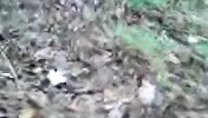 ormanda mastürbasyon 2 (kamu)