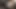 En ateşli dildo sahnesi-3_busty esmer iç çamaşırlı büyük dildoyla oynuyor