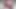Local girl wear sarong batik gets creampie Fansly BbwThaixxx