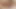 4 dik dudes sikme sıkı milf eşek ve kedi