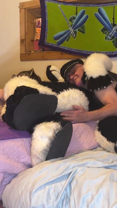 Furry Love - Cliff Media Productions | Klip 1