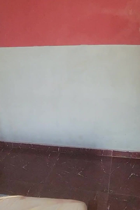 Baş -tan çıkarıcı