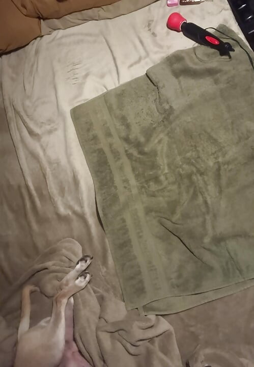 Lelaki gay menjolok lubangnya