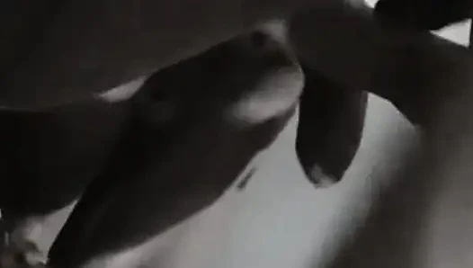 Sex My wife love you miss My Hot Sonam Is Sucking My Cock Very Well