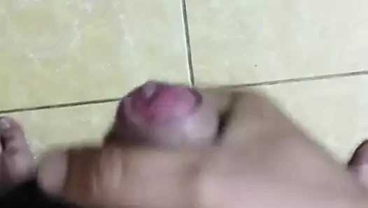 O alba scurta