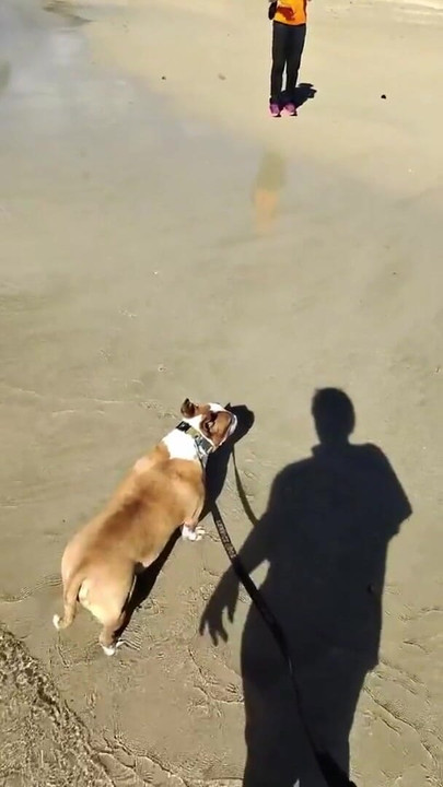 Paiko Fishpond, East Oahu, Hawaii | Clip 2