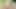 Elle muamele ve sikişen kıllı amcık yakın çekim 4k 60 fps