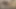 Aldatan minyon Asyalı evli kadın dikkati dağılmış kocası tarafından kiralanan büyük yaraklı fotoğrafçıyla sikişiyor