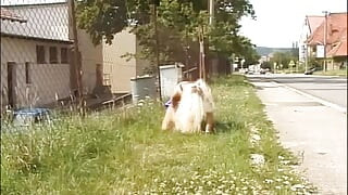 DEUTSCHLAND PORNO TV - our best full movie