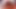 Nimrat Khaira Cum Tribute