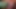 106) Big Green Balloon Pop and Cum!    Balloonbanger