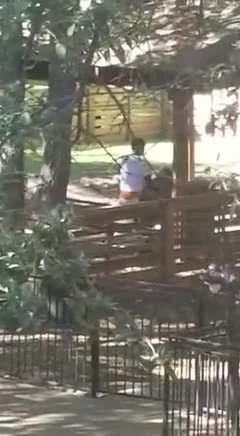 Daylight fucking
