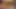 Film 31 - Japon hentai kedi kostümlü - bir hayranla seks - bir hayranının adını ararken oral seks