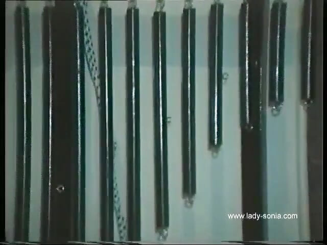 Prodom Шесть