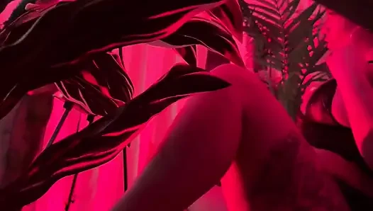 Red Passion за кулисами с Wetkittycity