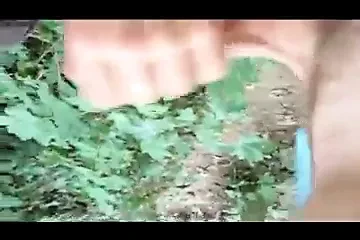 Plans foret