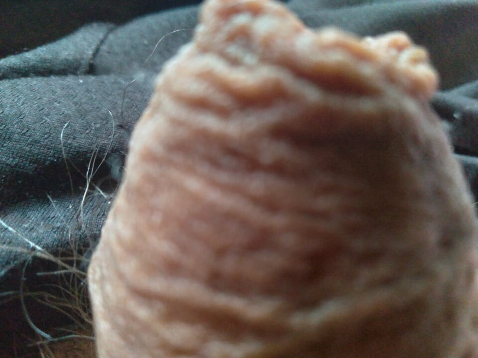 صبي مثلي الجنس وقضيبه القوي