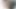 Besamung und immer weiter ficken