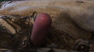 Une petite bite blanche se branle avec un doigt - sperme ruiné