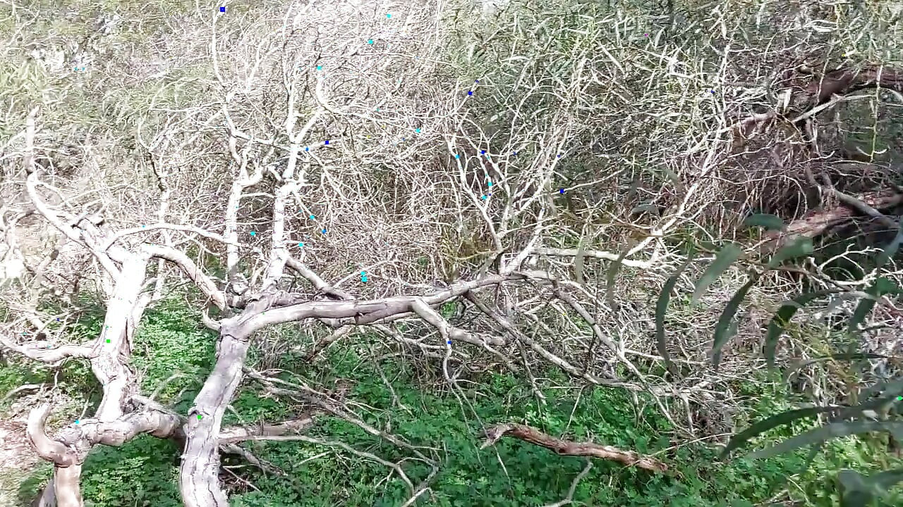 Oma Zoekt Naakt Geliefden in Het Bos!