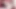 Shemale Drika Lima Stretched to The Max in This Interracial Threesome