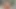 Curvy MILF Natasha Nice Pays For Your Escort Skills
