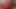 UK Hairy Daddy Bear Wanking in Red Lonsdale Briefs