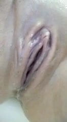 Belle chatte