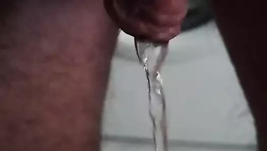 benim küçük horoz