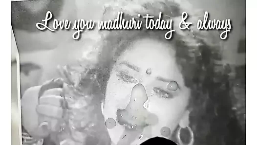 Madhuri dixit döl haraç