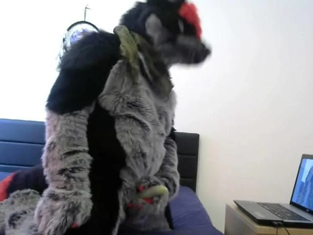 murrsuit pawing