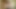 Vietnamese Teen Got Her Hairy Pussy Fucked From Behind