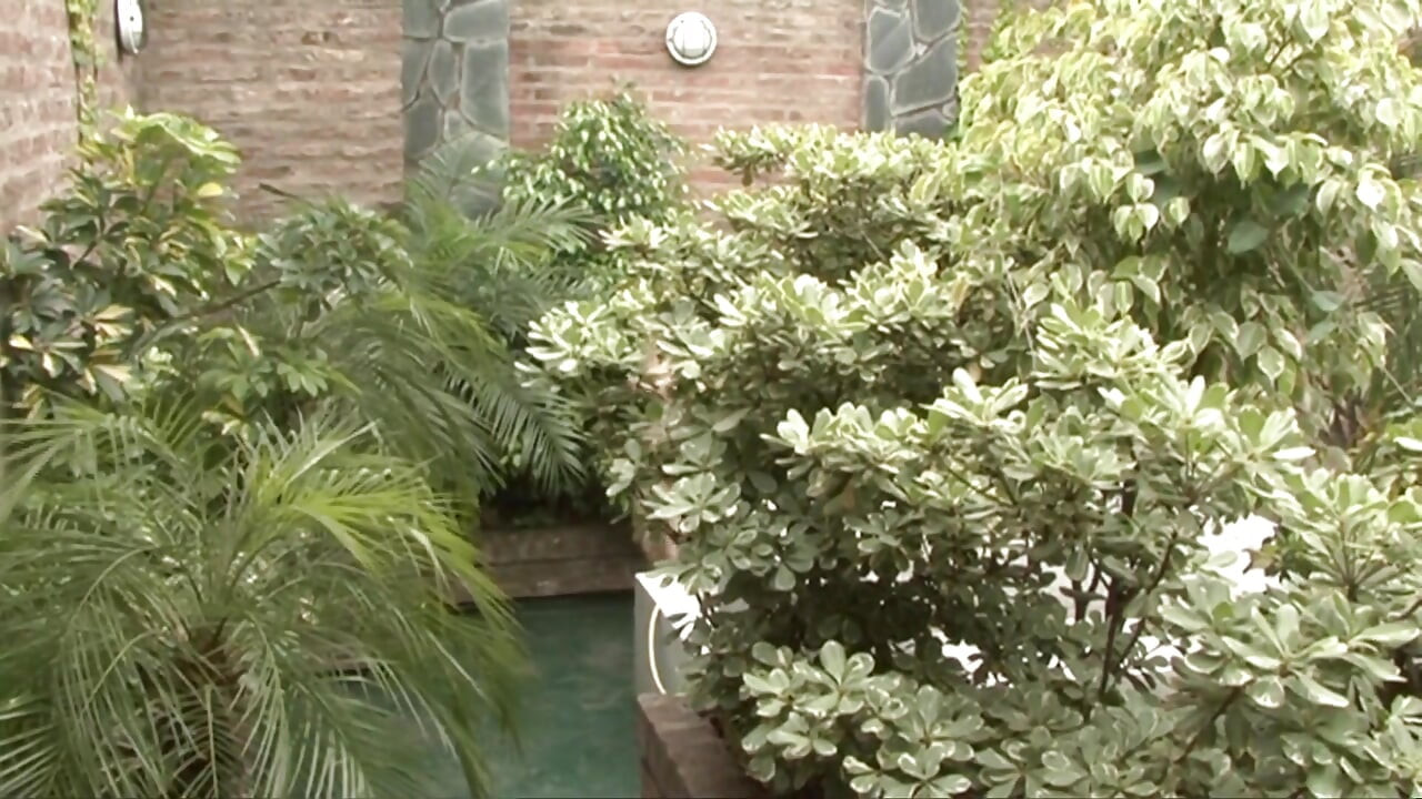 Blonde slut is getting a bang from her horny black guy