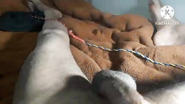 Teenager fuck by brinjal with cute voice