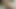 My girlfriend swallows cum